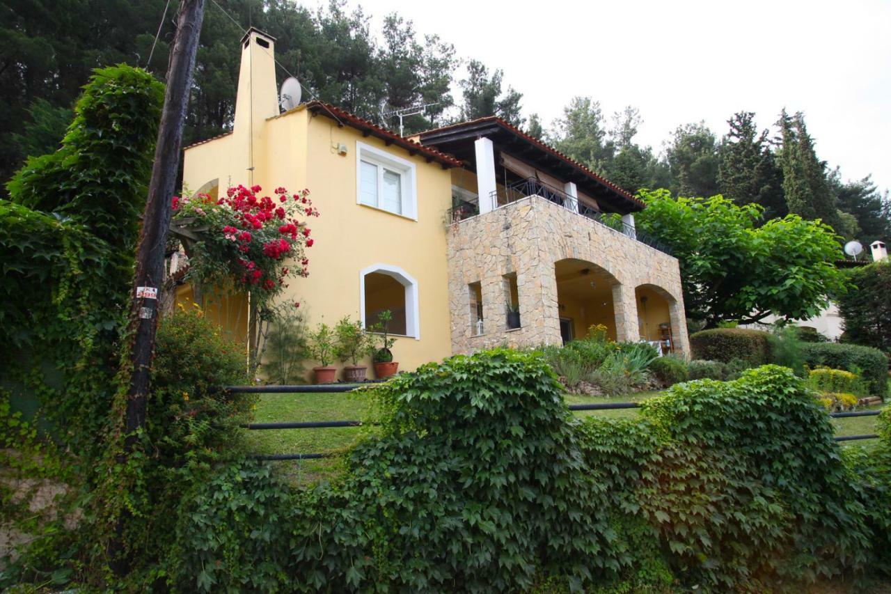 Six Steps From The Forest Zigos  Exterior foto