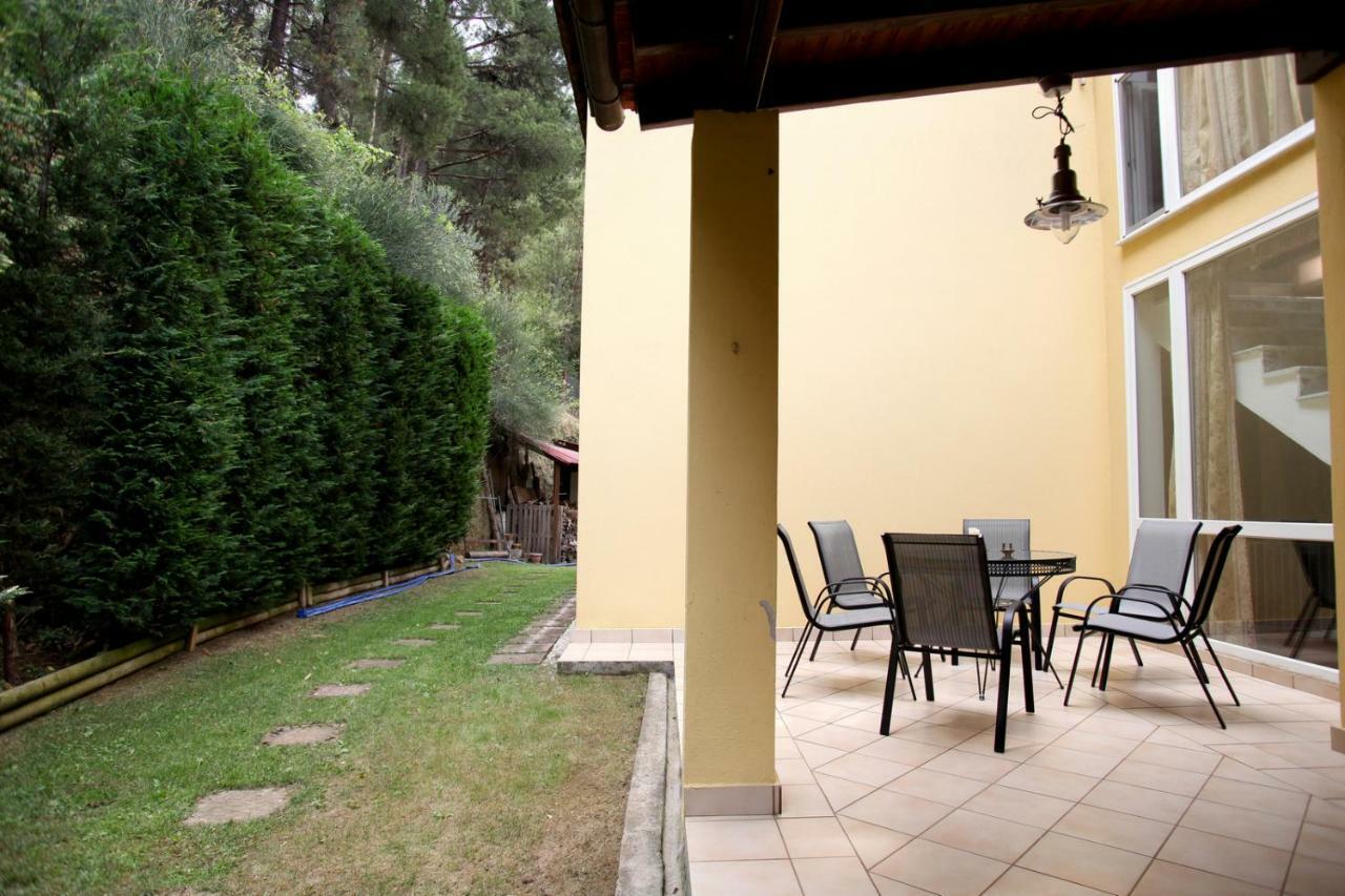 Six Steps From The Forest Zigos  Exterior foto