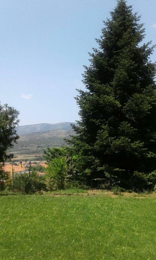 Six Steps From The Forest Zigos  Exterior foto