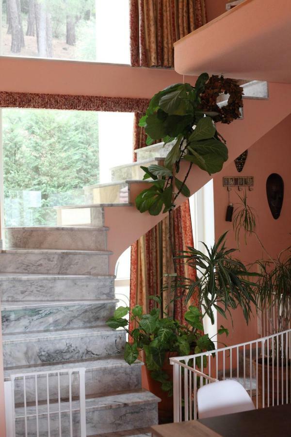 Six Steps From The Forest Zigos  Exterior foto