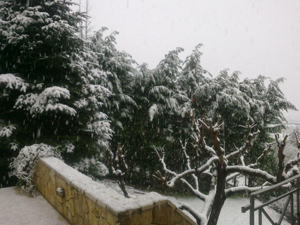 Six Steps From The Forest Zigos  Exterior foto